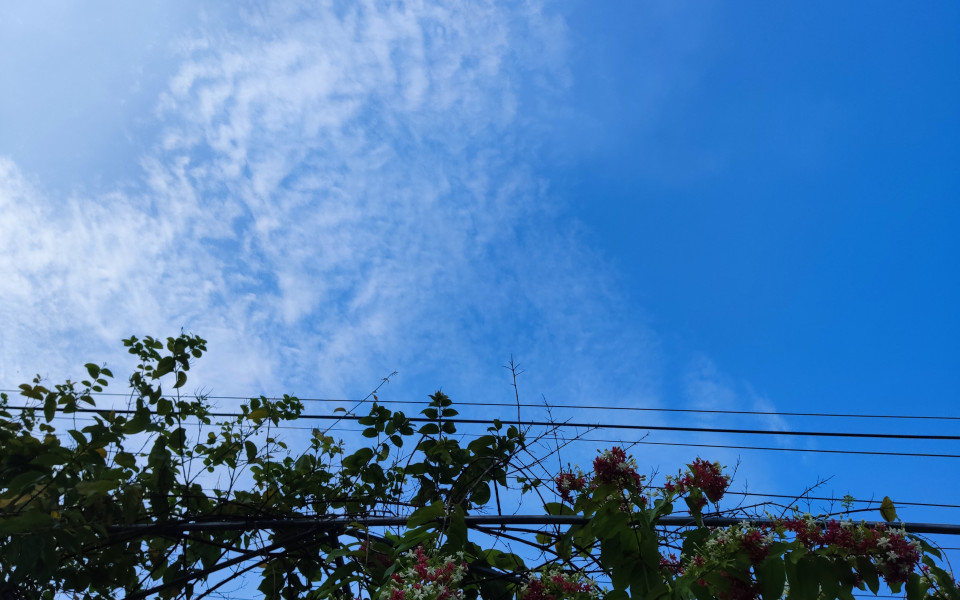 Cuaca Berubah-ubah di Pekanbaru: Hujan Rintik-Rintik dan Langit Berawan Menjadi Tema Hari Ini