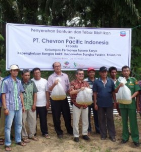 Permalink ke Chevron Bantu Pemuda Bangko Bakti 20.000 Bibit Ikan