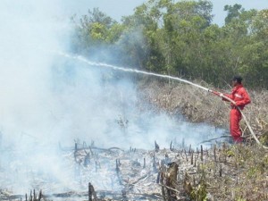 Permalink ke Kebakaran Hutan dan Lahan Kembali Landa Riau