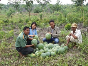 Permalink ke Petani Binaan Riaupulp di Desa Olak Panen Semangka