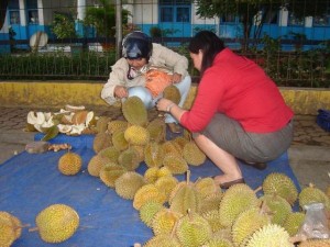 Permalink ke Harga Anjlok, Wargapun Pesta Durian