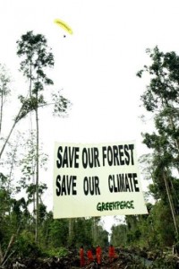 Permalink ke Greenpeace Mengkonfrontasi Deforestasi di Kebun Kelapa Sawit