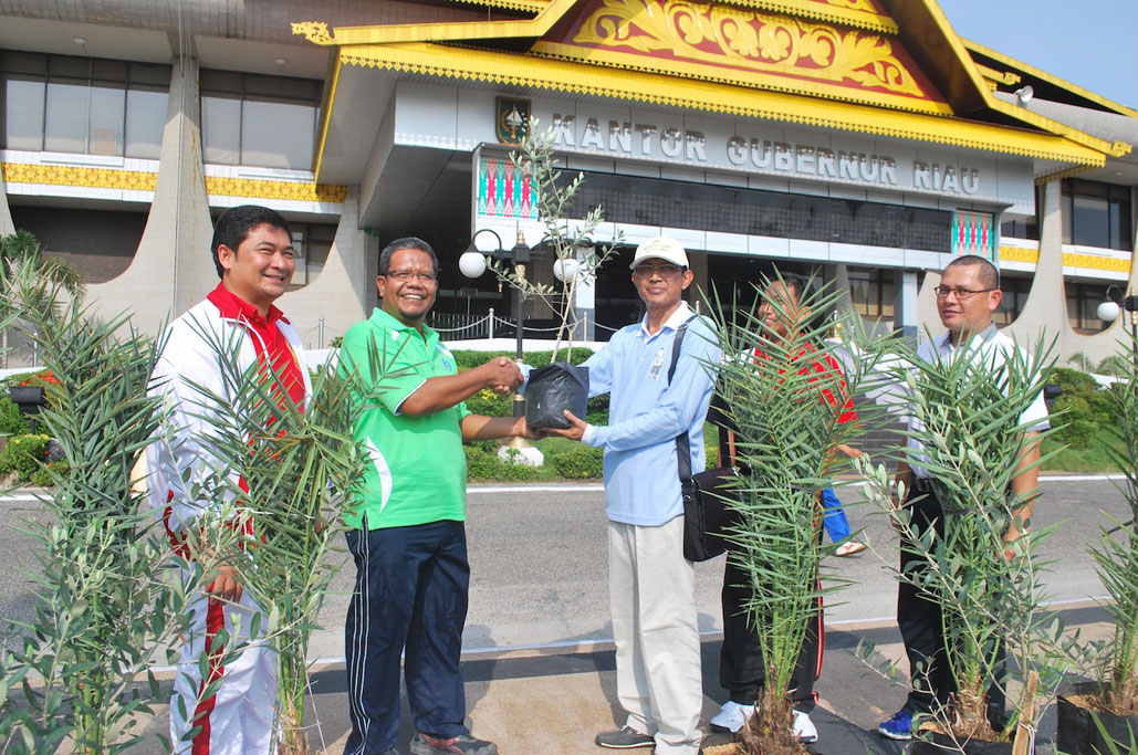 Permalink ke ASS I Setda prov Riau Terima bibit Pohon Kurma dan Zaitun dari Bank Indonesia